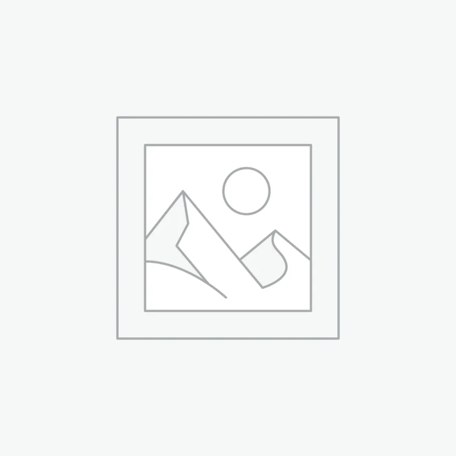 Master Digital Marketing